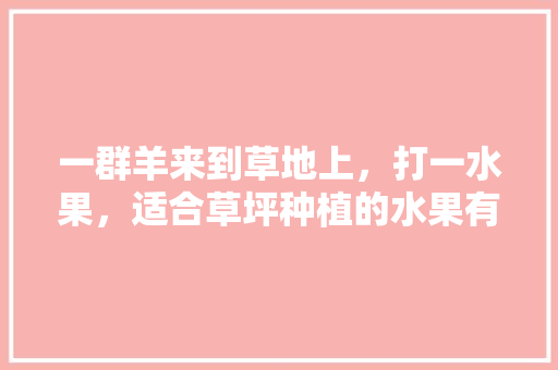 一群羊来到草地上，打一水果，适合草坪种植的水果有哪些。