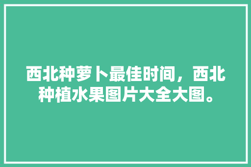 西北种萝卜最佳时间，西北种植水果图片大全大图。