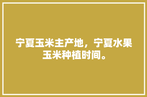 宁夏玉米主产地，宁夏水果玉米种植时间。