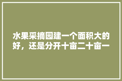 水果采摘园建一个面积大的好，还是分开十亩二十亩一个分开建设，二十亩水果种植技术视频。