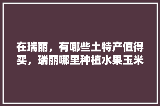 在瑞丽，有哪些土特产值得买，瑞丽哪里种植水果玉米最多。