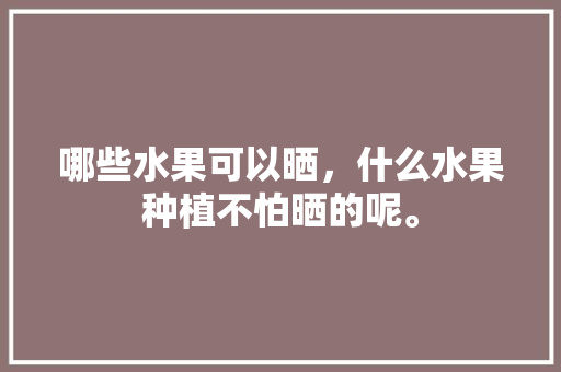 哪些水果可以晒，什么水果种植不怕晒的呢。