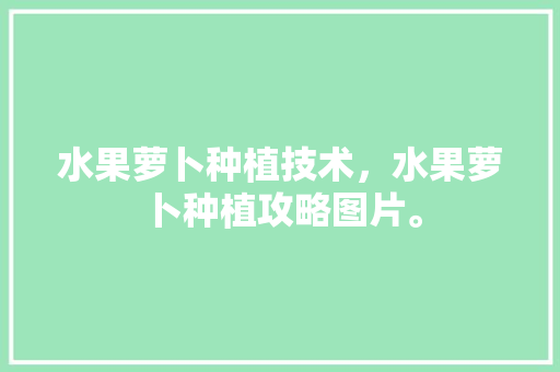 水果萝卜种植技术，水果萝卜种植攻略图片。