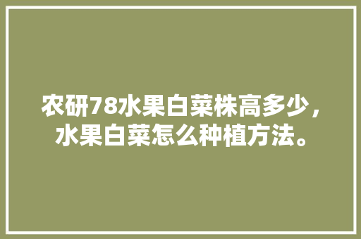 农研78水果白菜株高多少，水果白菜怎么种植方法。