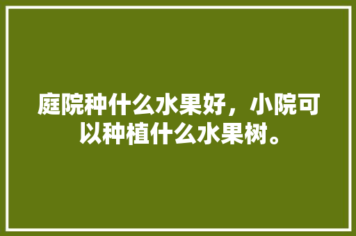 庭院种什么水果好，小院可以种植什么水果树。