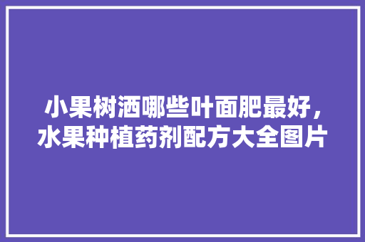 小果树洒哪些叶面肥最好，水果种植药剂配方大全图片。 小果树洒哪些叶面肥最好，水果种植药剂配方大全图片。 蔬菜种植