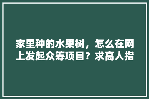 家里种的水果树，怎么在网上发起众筹项目？求高人指点，谢谢，众筹养殖种植水果赚钱吗。 土壤施肥