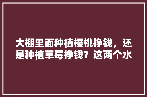 大棚里面种植樱桃挣钱，还是种植草莓挣钱？这两个水果哪个效益高，高档水果种植视频大全。 蔬菜种植