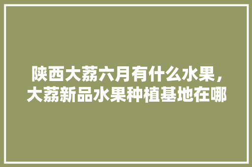 陕西大荔六月有什么水果，大荔新品水果种植基地在哪里。 畜牧养殖