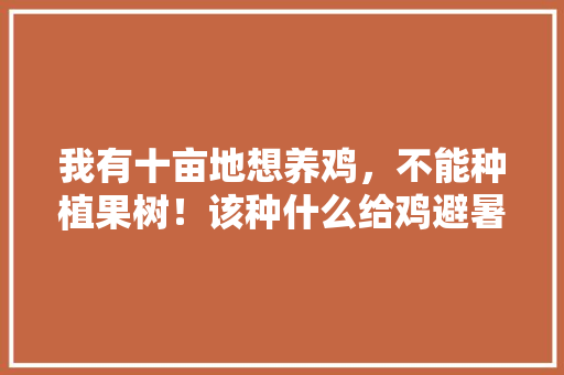 我有十亩地想养鸡，不能种植果树！该种什么给鸡避暑，室外种植水果苗视频教程。