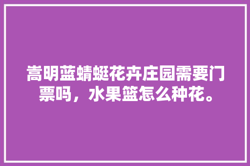 嵩明蓝蜻蜓花卉庄园需要门票吗，水果篮怎么种花。