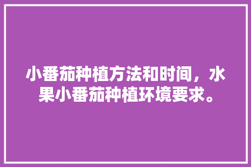 小番茄种植方法和时间，水果小番茄种植环境要求。