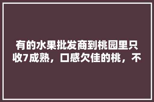 有的水果批发商到桃园里只收7成熟，口感欠佳的桃，不收9成熟，甜度更高的桃子，为什么，湖南常德桃源水果种植基地地址。