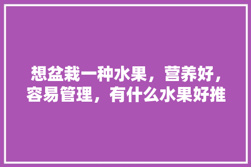 想盆栽一种水果，营养好，容易管理，有什么水果好推荐，水果推荐秋季种植方法有哪些。