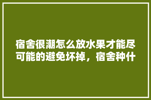 宿舍很潮怎么放水果才能尽可能的避免坏掉，宿舍种什么水果比较好。