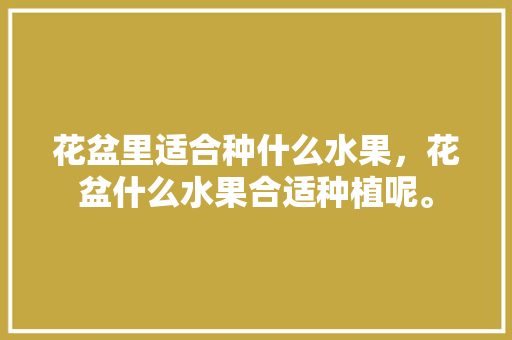 花盆里适合种什么水果，花盆什么水果合适种植呢。