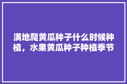 满地爬黄瓜种子什么时候种植，水果黄瓜种子种植季节是几月。