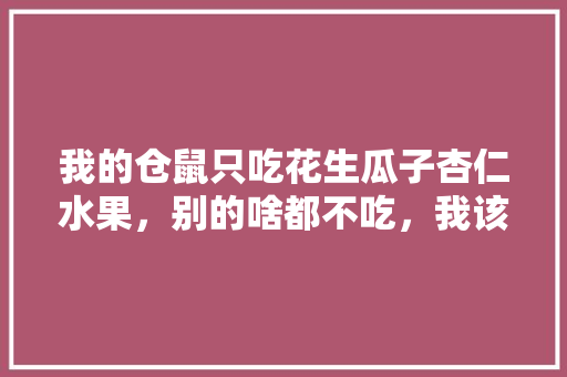 我的仓鼠只吃花生瓜子杏仁水果，别的啥都不吃，我该怎么喂食啊，杏仁种植水果技术视频。 土壤施肥