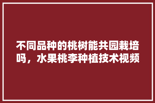 不同品种的桃树能共园栽培吗，水果桃李种植技术视频。