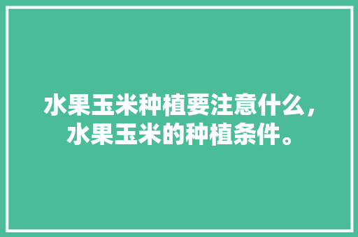 水果玉米种植要注意什么，水果玉米的种植条件。 家禽养殖