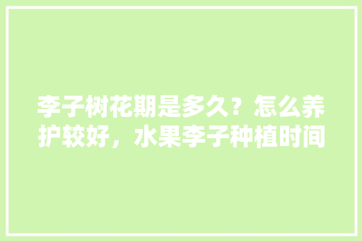 李子树花期是多久？怎么养护较好，水果李子种植时间表。