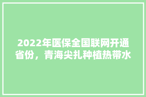 2022年医保全国联网开通省份，青海尖扎种植热带水果基地。