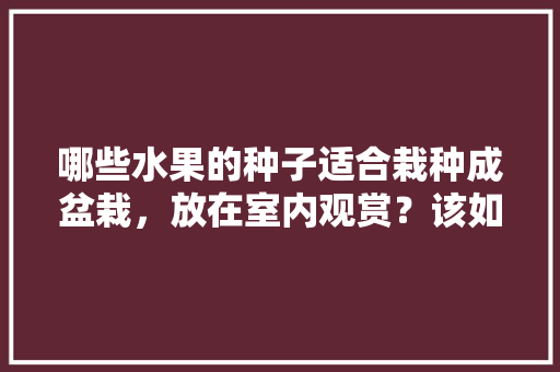 哪些水果的种子适合栽种成盆栽，放在室内观赏？该如何养护，水果在家自己种植可以吗。