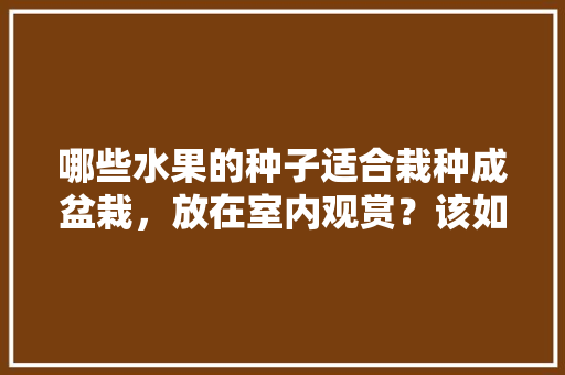 哪些水果的种子适合栽种成盆栽，放在室内观赏？该如何养护，种植水果怎么利用空间呢。