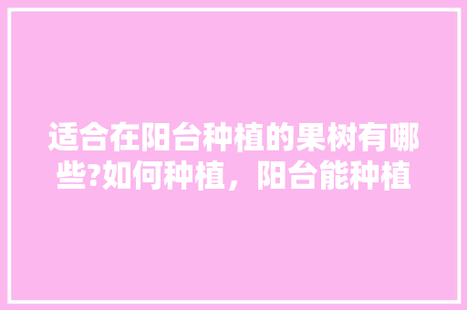 适合在阳台种植的果树有哪些?如何种植，阳台能种植什么水果树。