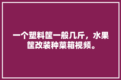 一个塑料筐一般几斤，水果筐改装种菜箱视频。