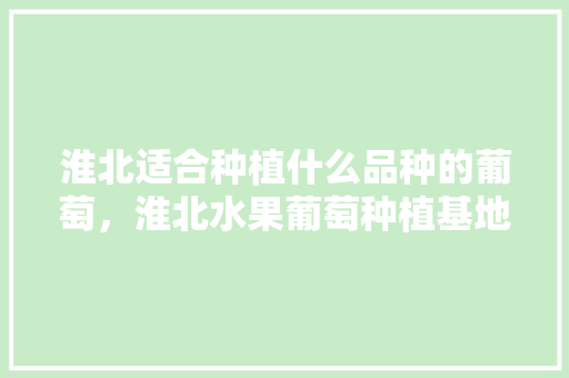 淮北适合种植什么品种的葡萄，淮北水果葡萄种植基地在哪里。 家禽养殖