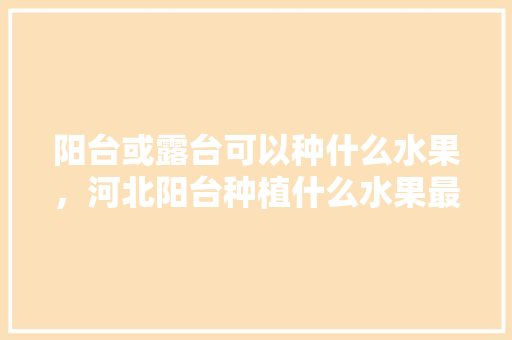 阳台或露台可以种什么水果，河北阳台种植什么水果最好。