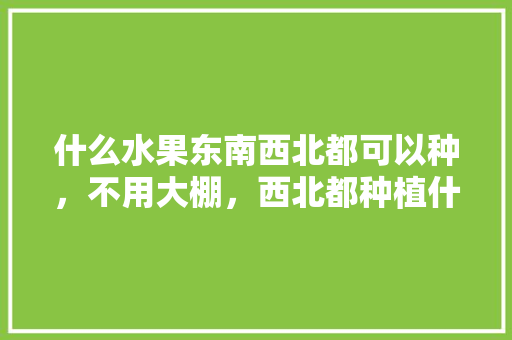 什么水果东南西北都可以种，不用大棚，西北都种植什么水果最好。