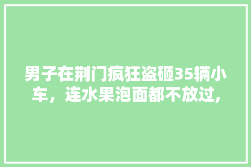 男子在荆门疯狂盗砸35辆小车，连水果泡面都不放过, 你怎么看，荆门水果种植视频大全。