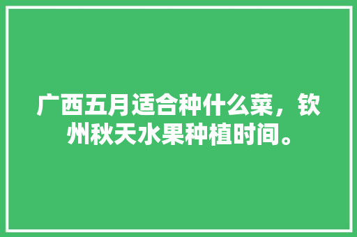 广西五月适合种什么菜，钦州秋天水果种植时间。