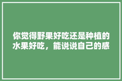 你觉得野果好吃还是种植的水果好吃，能说说自己的感受吗，种植牙和水果有关系吗。