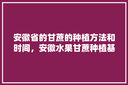 安徽省的甘蔗的种植方法和时间，安徽水果甘蔗种植基地在哪里。 水果种植