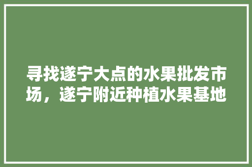 寻找遂宁大点的水果批发市场，遂宁附近种植水果基地在哪里。