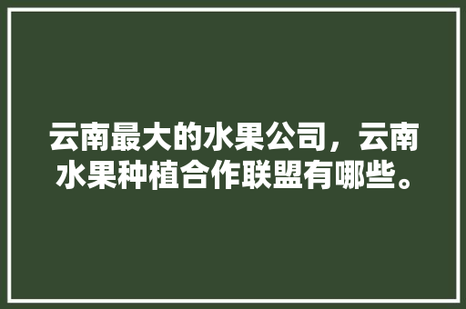 云南最大的水果公司，云南水果种植合作联盟有哪些。