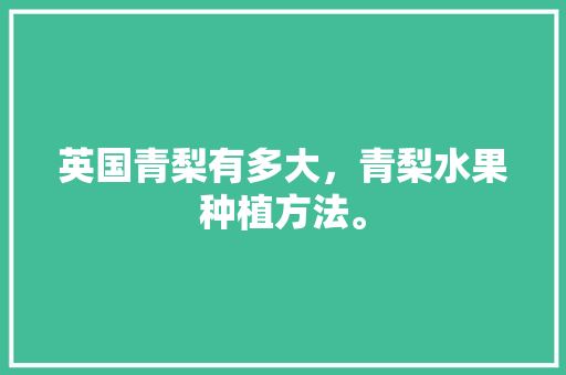 英国青梨有多大，青梨水果种植方法。 英国青梨有多大，青梨水果种植方法。 水果种植