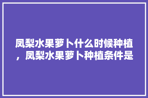 凤梨水果萝卜什么时候种植，凤梨水果萝卜种植条件是什么。