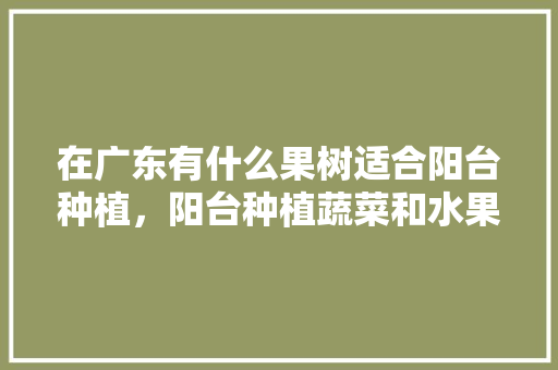 在广东有什么果树适合阳台种植，阳台种植蔬菜和水果图片。