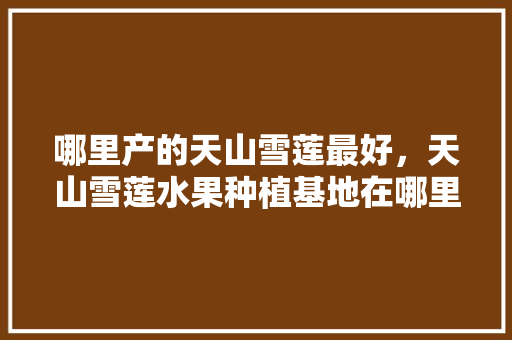 哪里产的天山雪莲最好，天山雪莲水果种植基地在哪里。