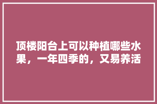 顶楼阳台上可以种植哪些水果，一年四季的，又易养活的，贵州阳台种植水果有哪些。 畜牧养殖