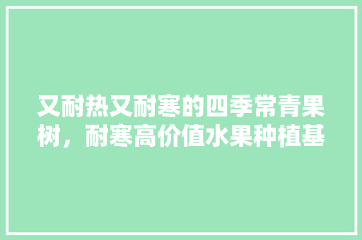 又耐热又耐寒的四季常青果树，耐寒高价值水果种植基地。