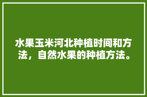 水果玉米河北种植时间和方法，自然水果的种植方法。 水果玉米河北种植时间和方法，自然水果的种植方法。 土壤施肥