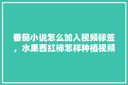 番茄小说怎么加入视频标签，水果西红柿怎样种植视频教程。 蔬菜种植