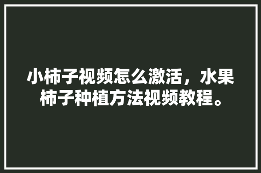 小柿子视频怎么激活，水果柿子种植方法视频教程。