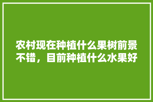 农村现在种植什么果树前景不错，目前种植什么水果好呢。