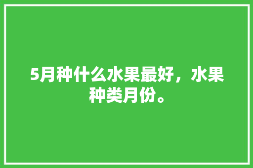 5月种什么水果最好，水果种类月份。